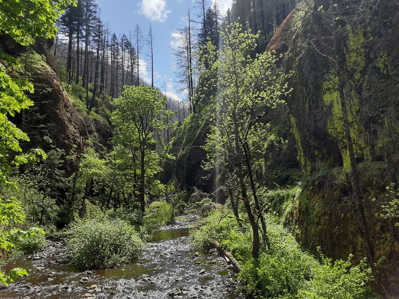 Trail Areas That Shift With Seasonal Conditions