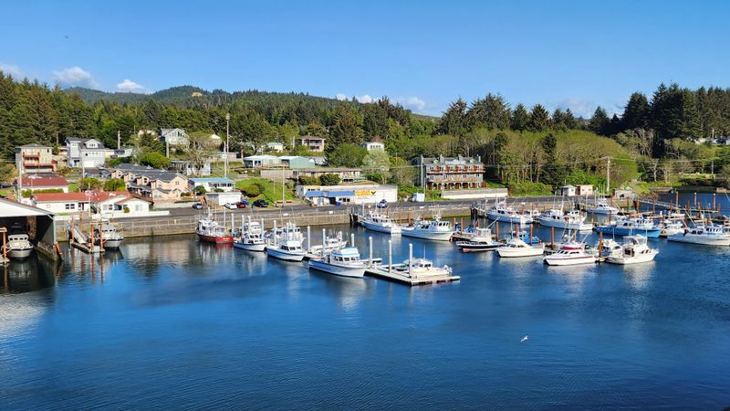 Kayaking the Harbor and Nearshore