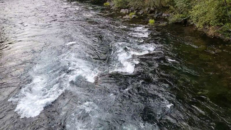 Hot Springs Hidden in the Forest