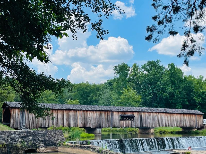 Forest Edges That Respond to Every Shift of Wind