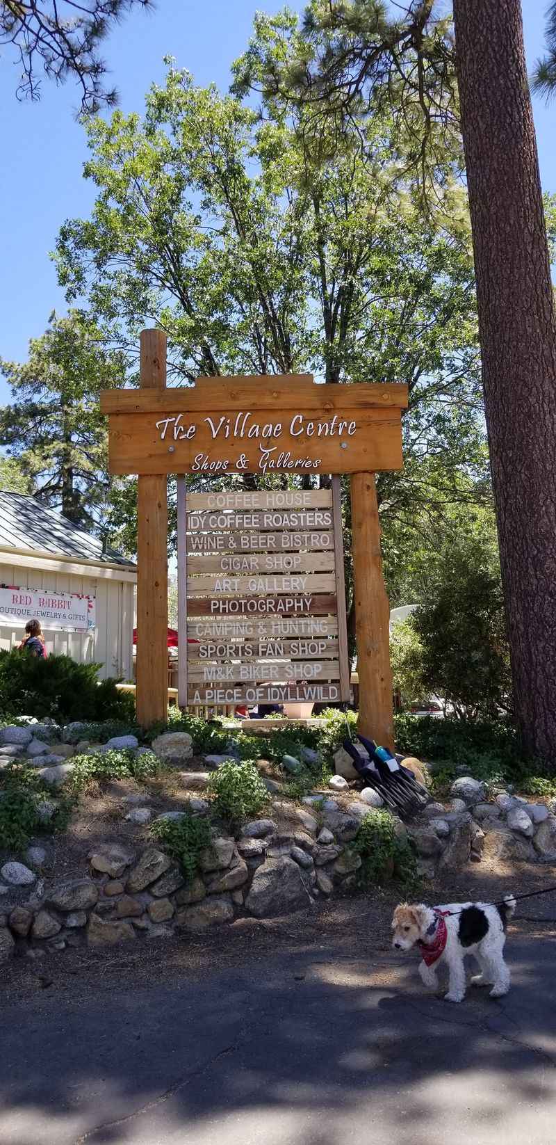 Elevation and Cool Mountain Climate