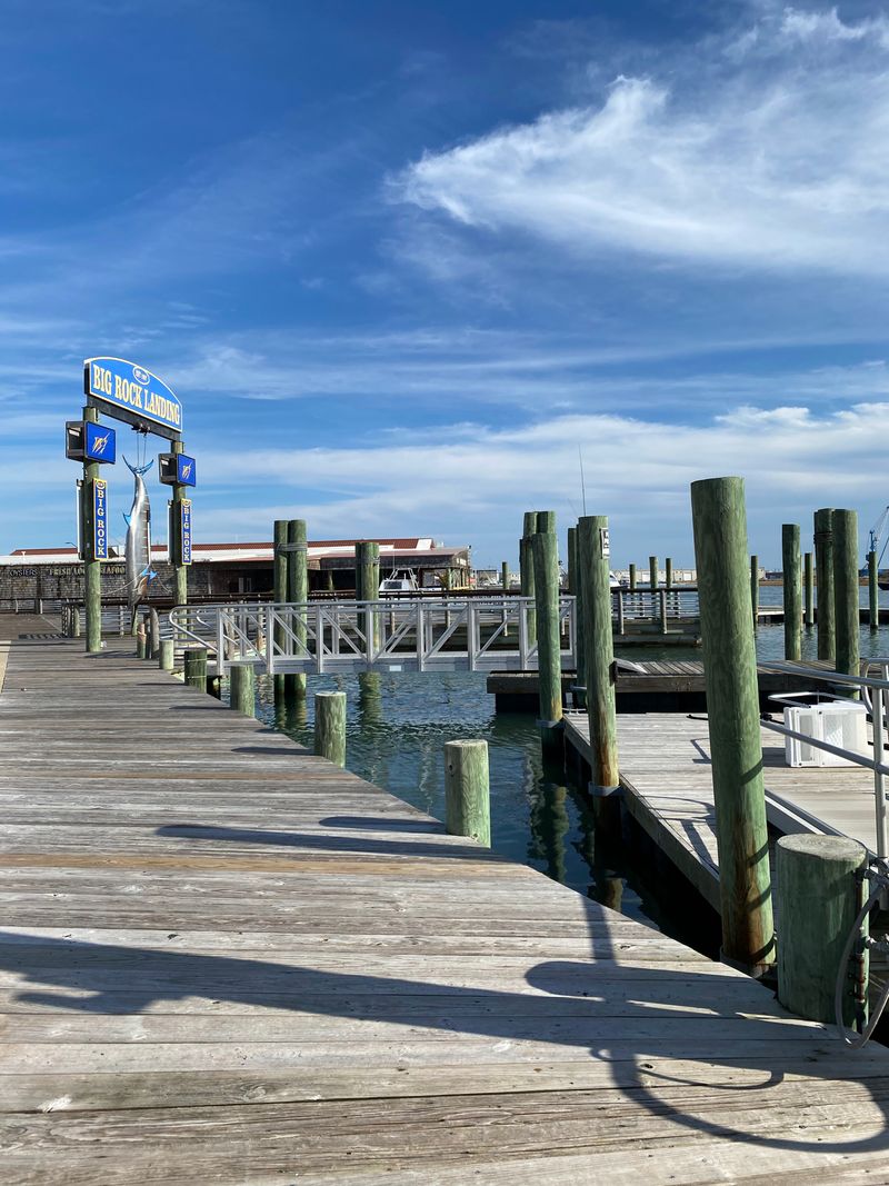 Morehead City Harbor Morning Stroll