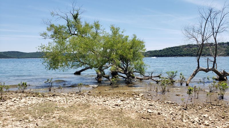 Waterfront Views That Encourage Slow, Reflective Days