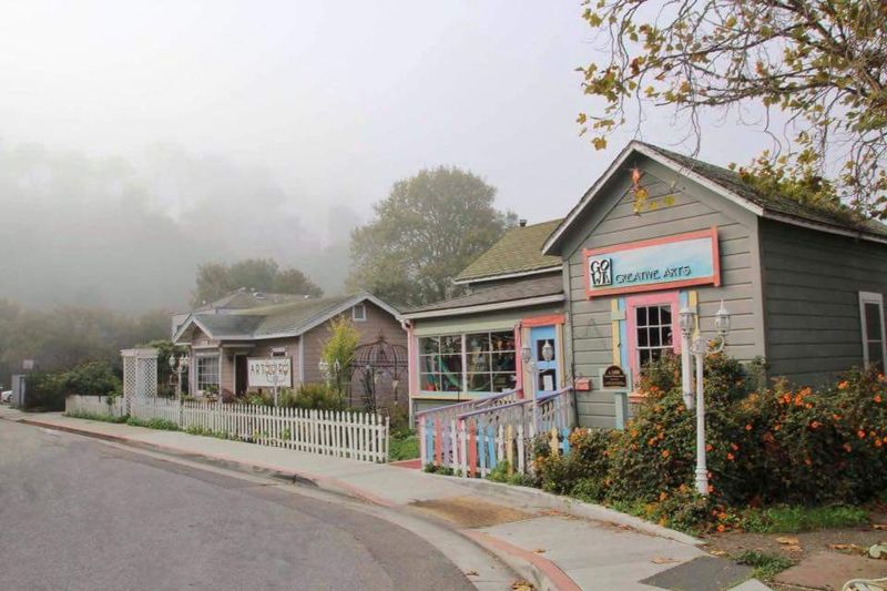 A Winter Season Marked by Soft Coastal Mist