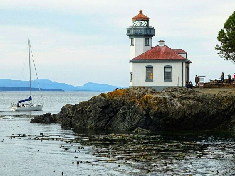 Whale Watching On The Salish Sea