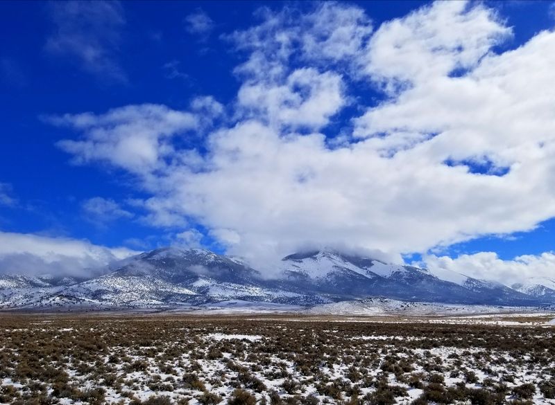 The Silence That Speaks