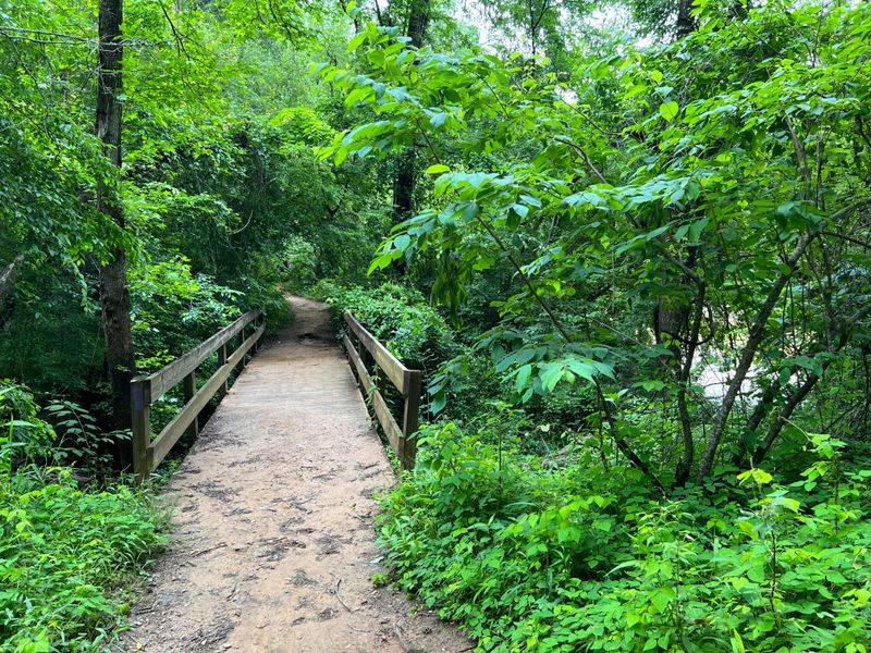 Wildlife Activity That Adds to the Illusion