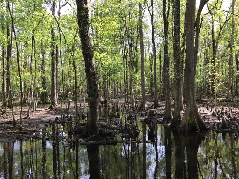 The Wildlife Sanctuary Hiding in Plain Sight