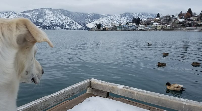 Snowy Hillsides That Frame the Village Like a Painting