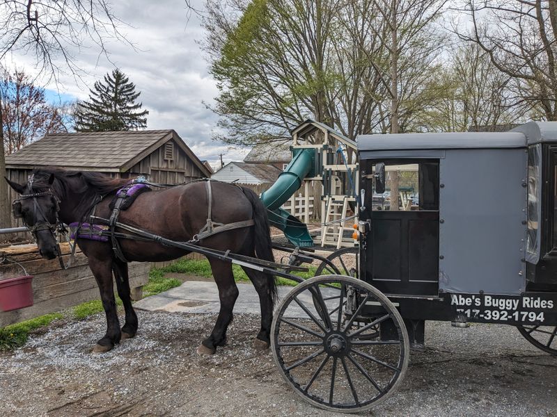 Abe’s, Unique Stops And Private Bookings