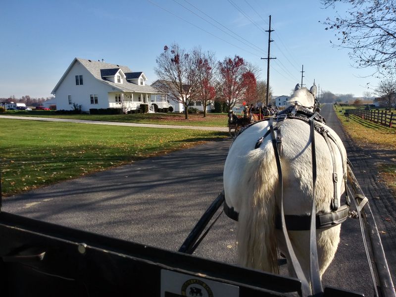 Common Threads And Educational Value