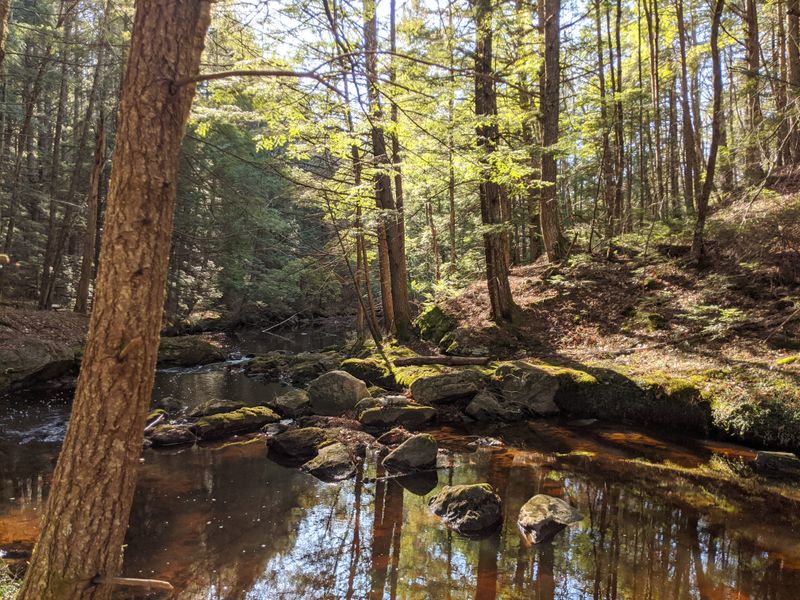 Bradbury Mountain State Park