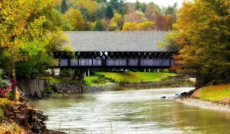 Seasonal Changes That Alter the Mood Completely