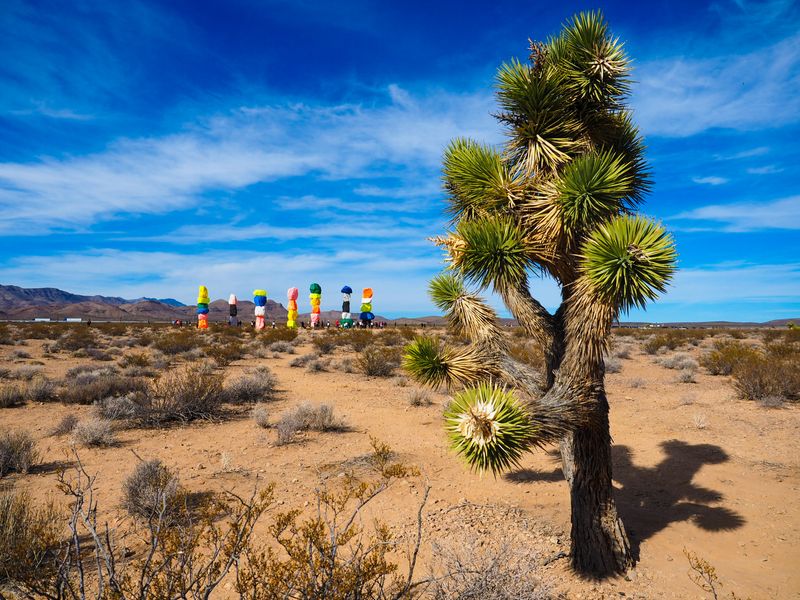 History, timeline, and stewardship to know