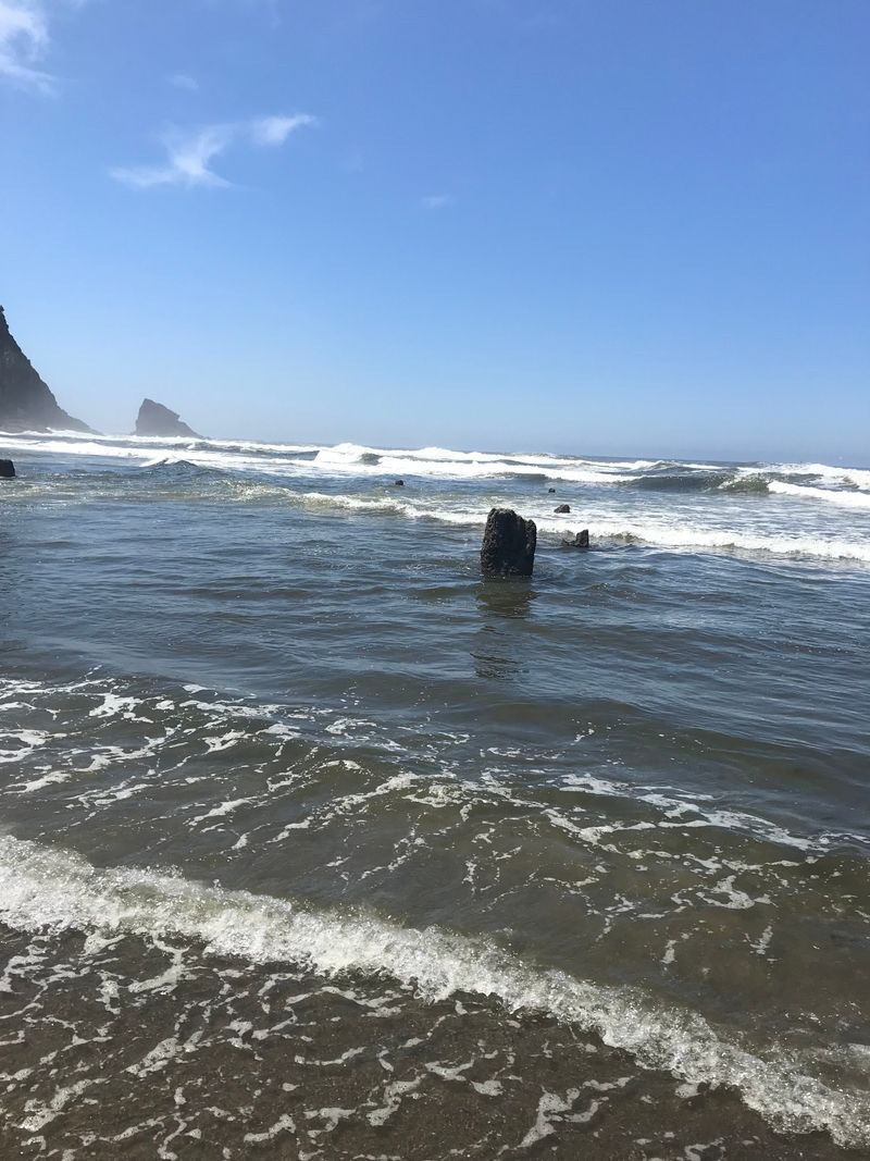 A Reminder of Nature's Power and Resilience