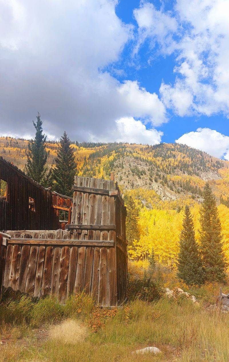 Seasonal Transformations That Demand Return Visits