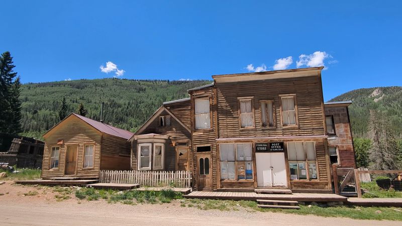 Friendly Chipmunks That Greet Every Visitor