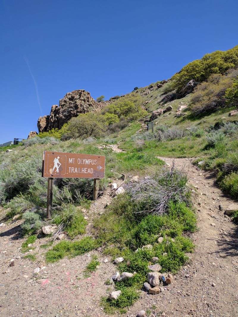 Mount Olympus Trail