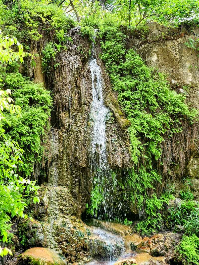 Nearby bites and where to refuel