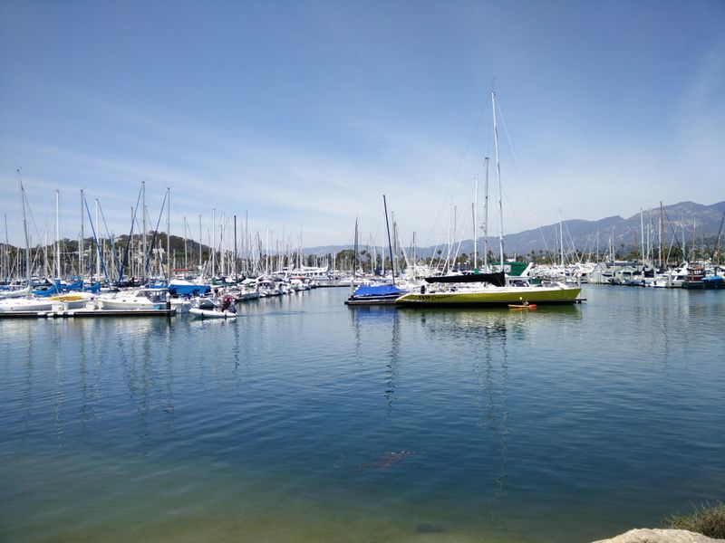 Go Sailing or Kayaking from the Marina