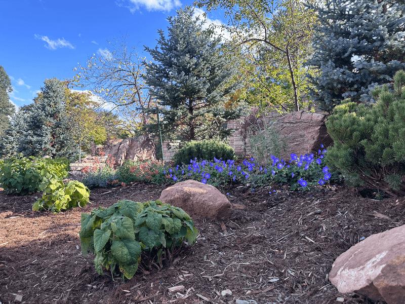 Stunning Desert Landscapes Surround the Town