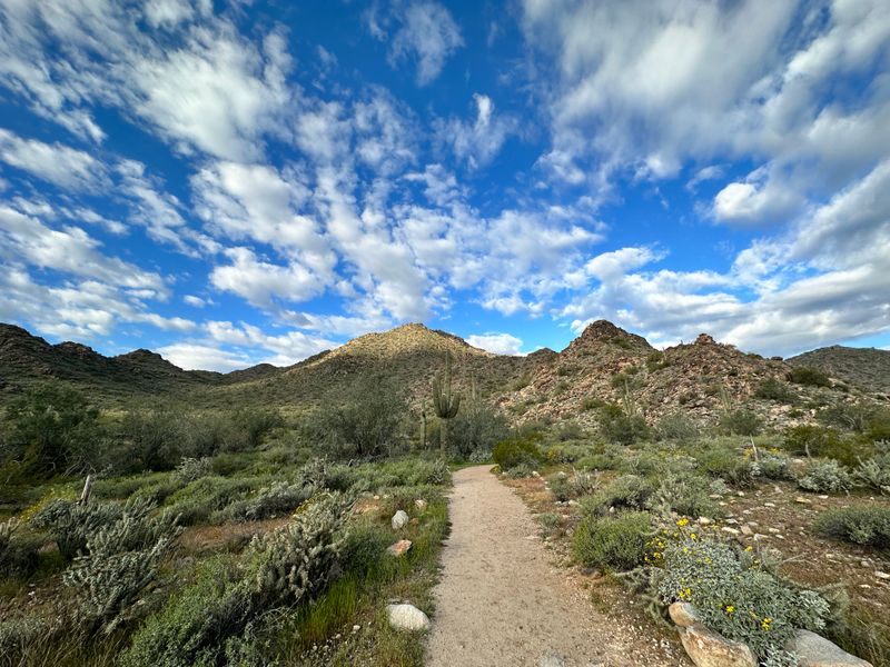 White Tank Mountain Regional Park Loop