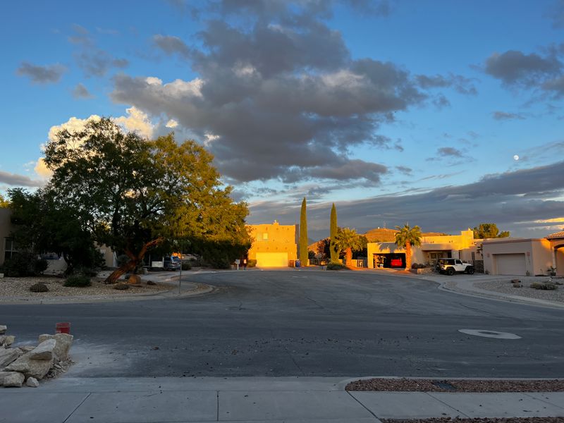 Lohman Avenue and Pioneer Families