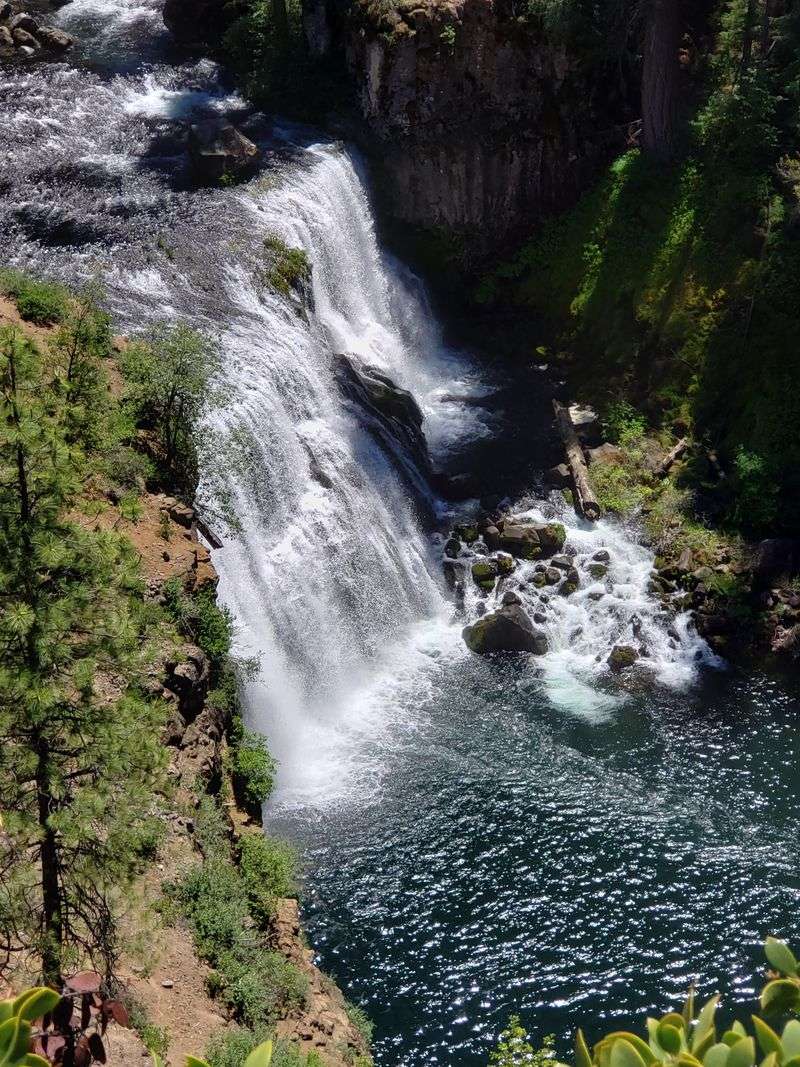 McCloud Falls, Shasta Trinity National Forest