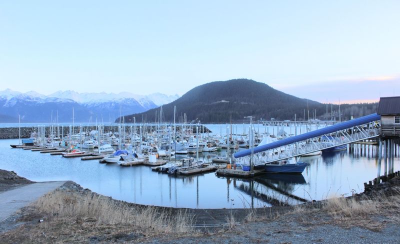 A Harbor That Stays Active Despite the Cold