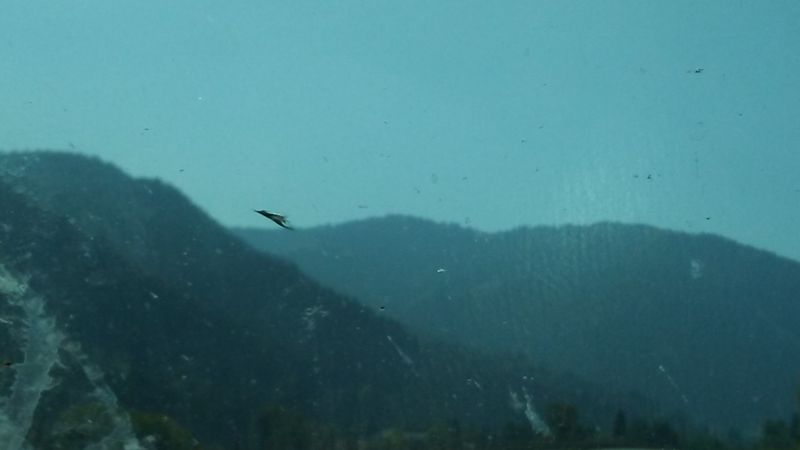 Snowmobile Hub With Big Terrain