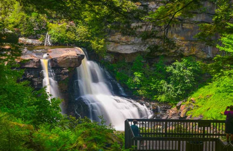 The amber plunge that gives Blackwater Falls its name