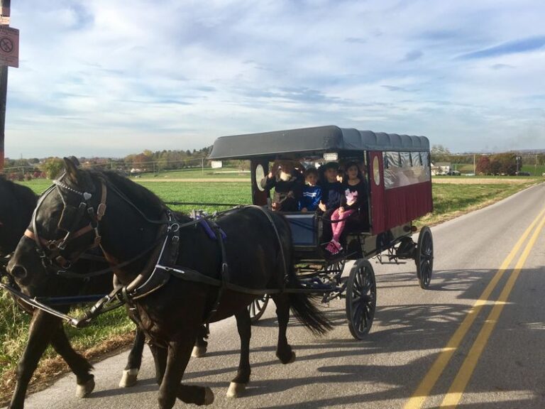 Amish Buggy Rides In Pennsylvania That Travelers Can Actually Book