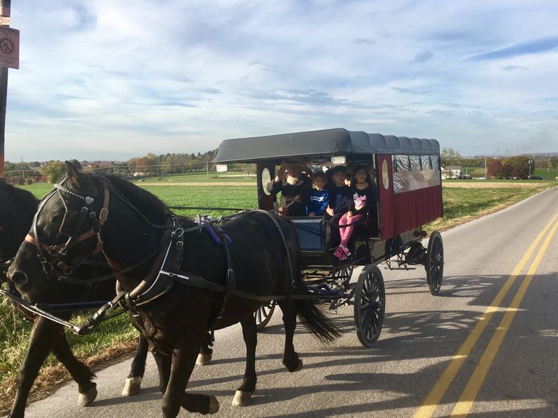 The Essential Experience In Lancaster County