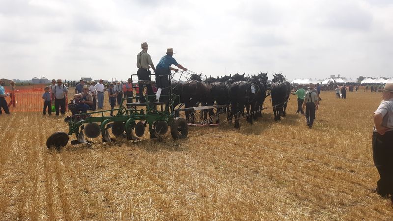 Arthur: The Gateway to Illinois Amish Life