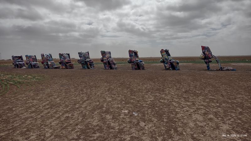 A Field That Doubles as an Outdoor Canvas