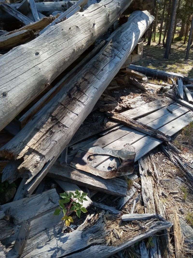 Remnants Of Everyday Life