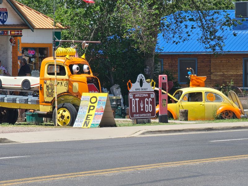 Snow Cap Drive In Antics