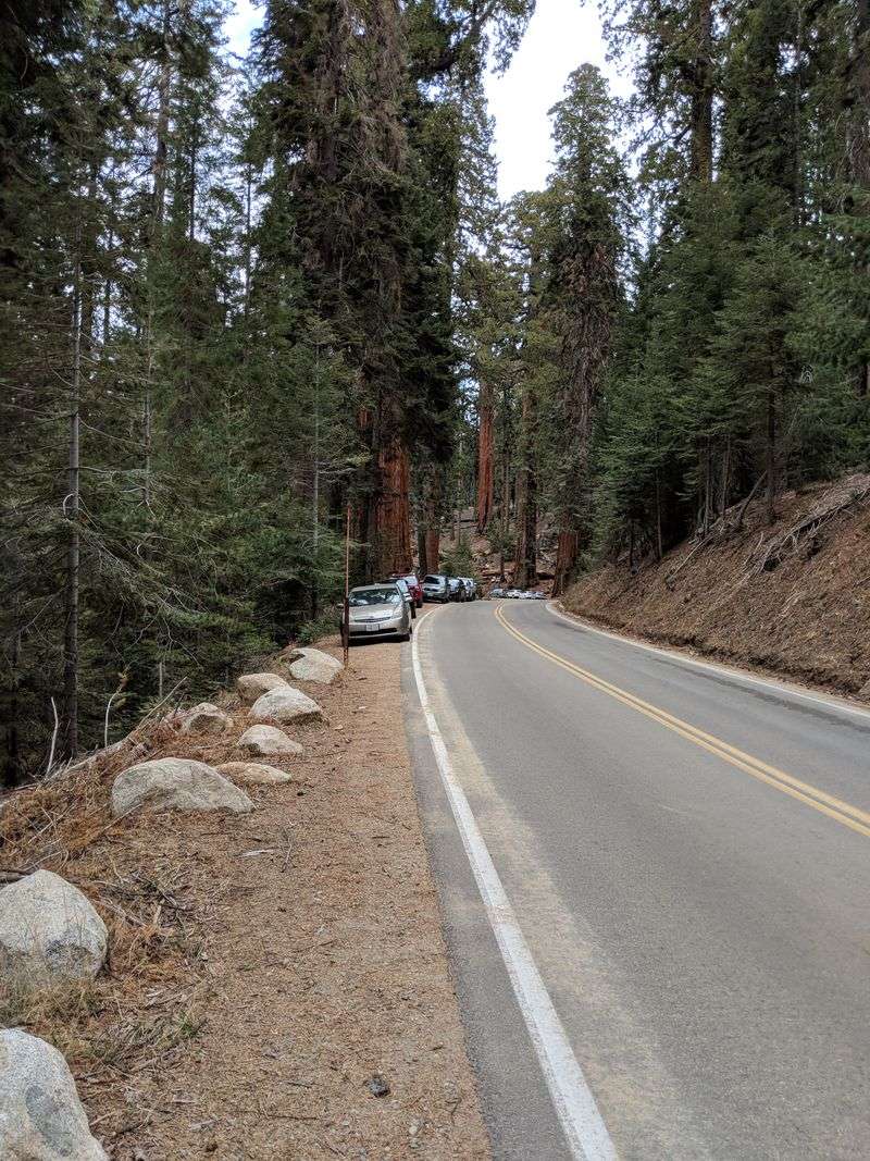 Generals Highway (Highway 198 and 200)