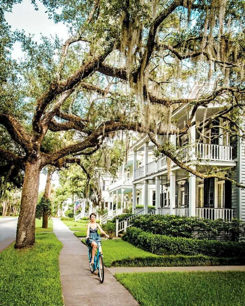 Live Oaks That Turn Into Winter Sculptures