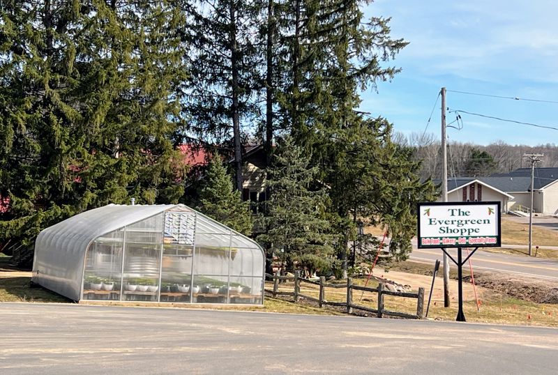 The Evergreen Shoppe