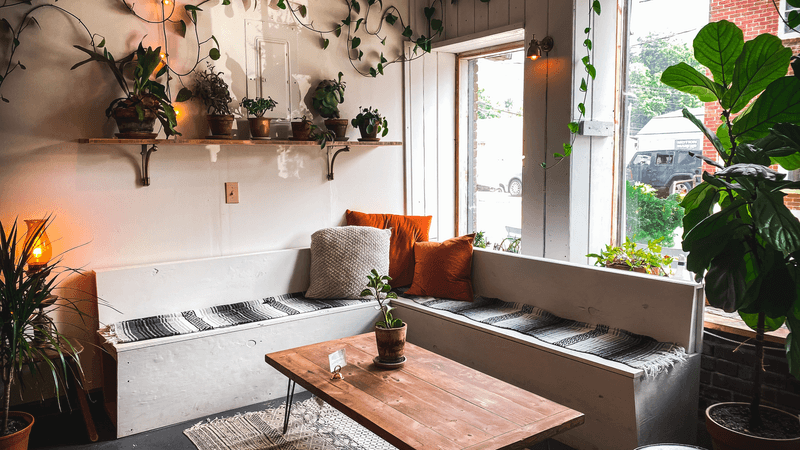 White Moon Café: Sylva, North Carolina