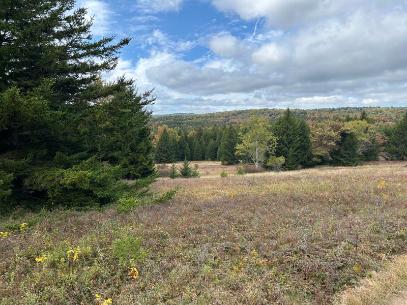 Route 32 Through Canaan Valley
