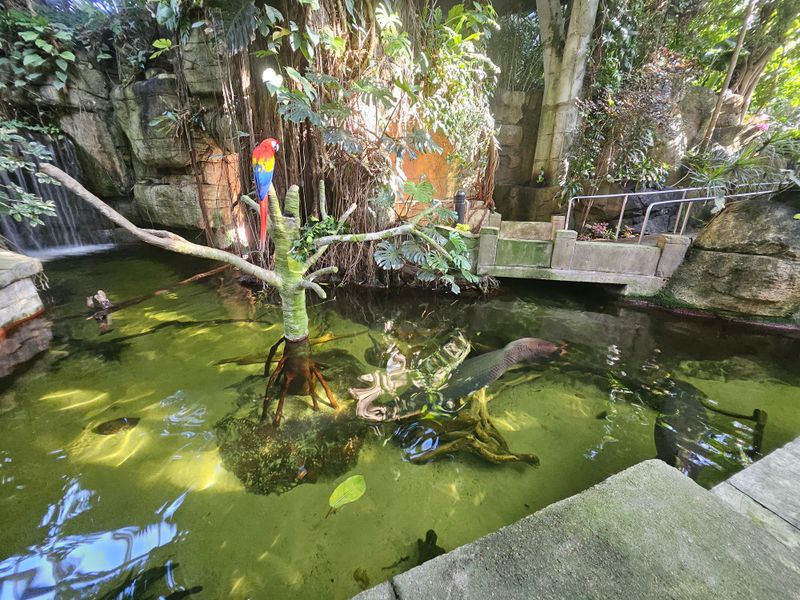 Rainforest Pyramid in winter glow