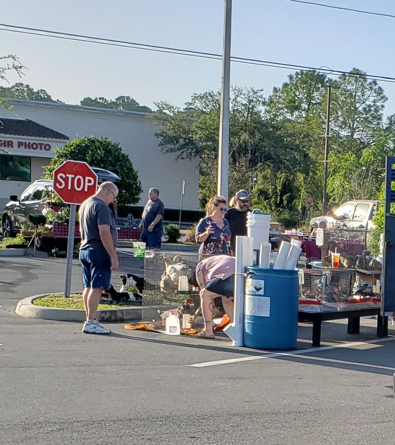 Dunnellon Market on the Rainbow