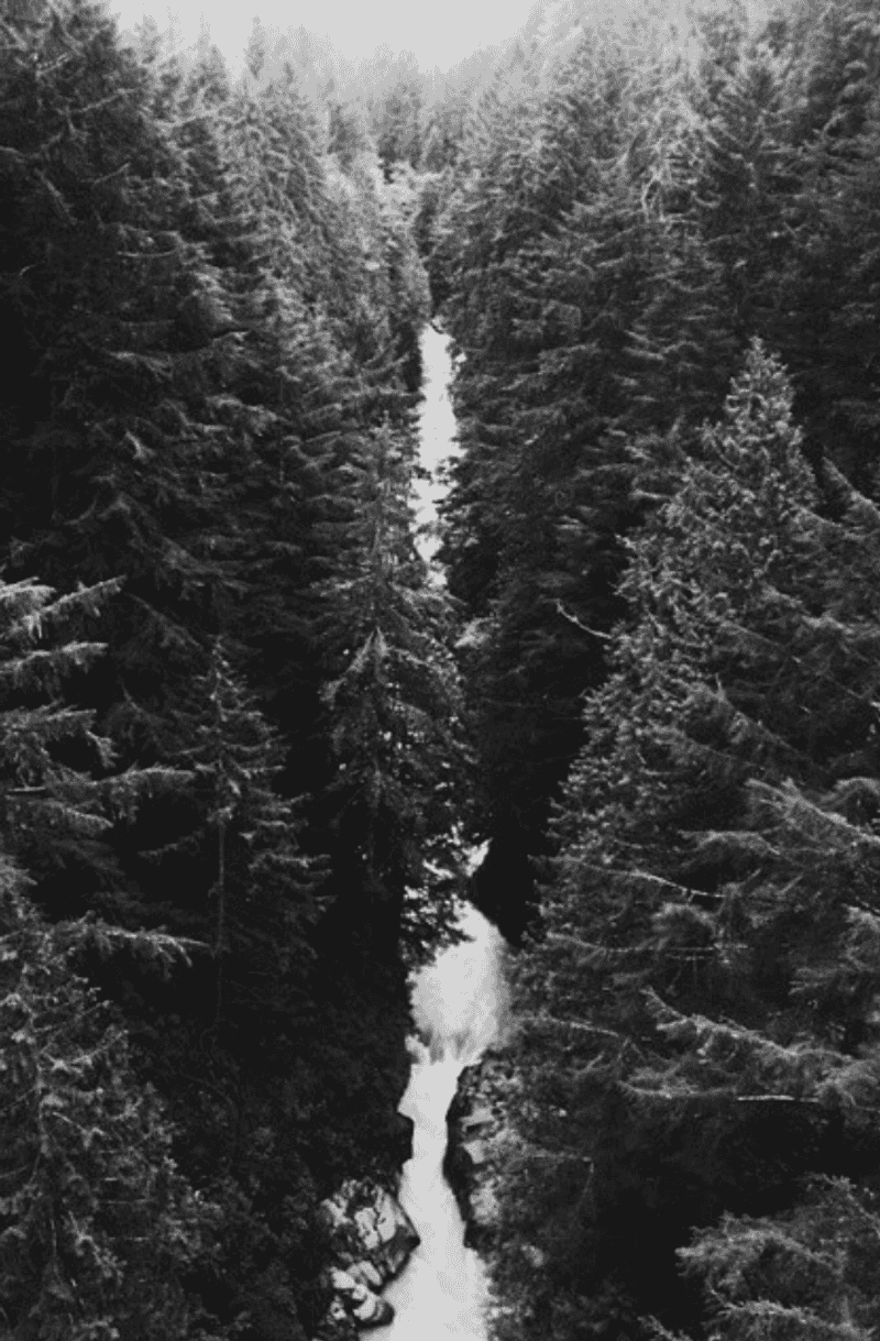 Listening For The Old Rail Line