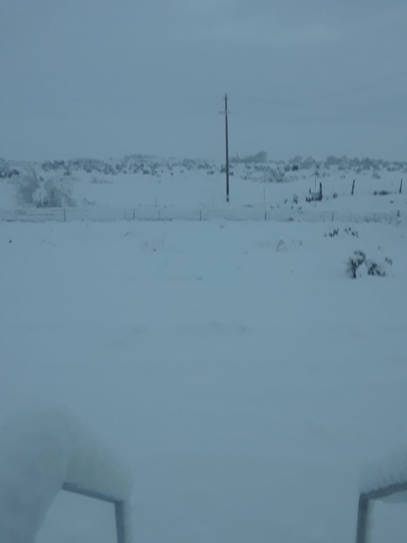 A Historic District That Softens Under Snow