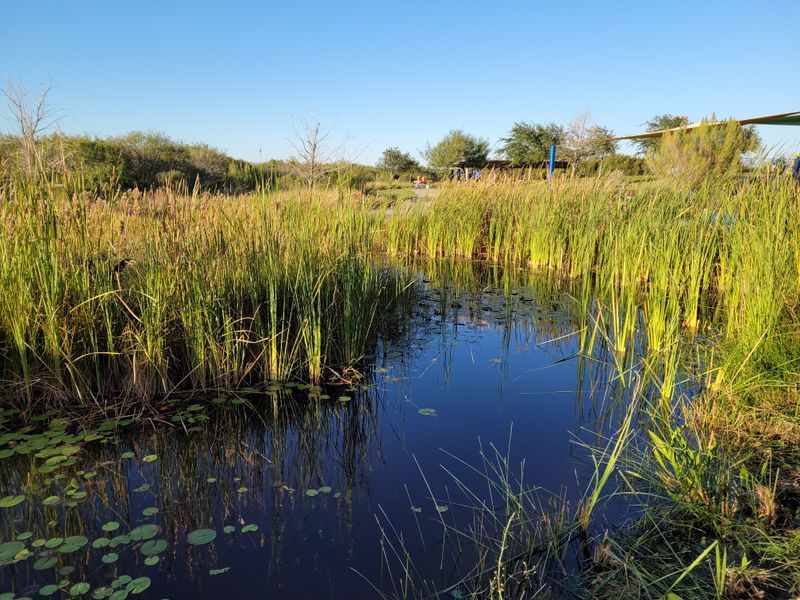 Oso Bay Wetlands Preserve and Learning Center