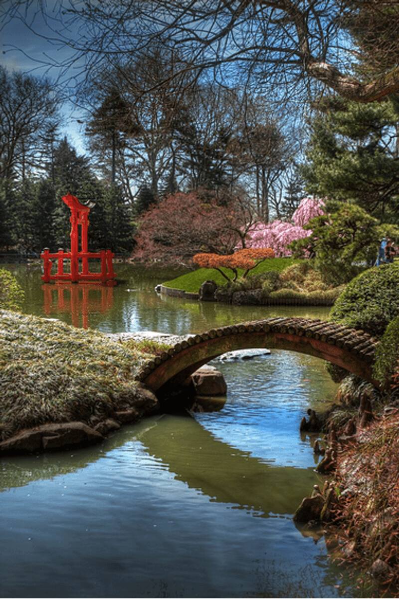 Japanese Hill and Pond Garden After Dark