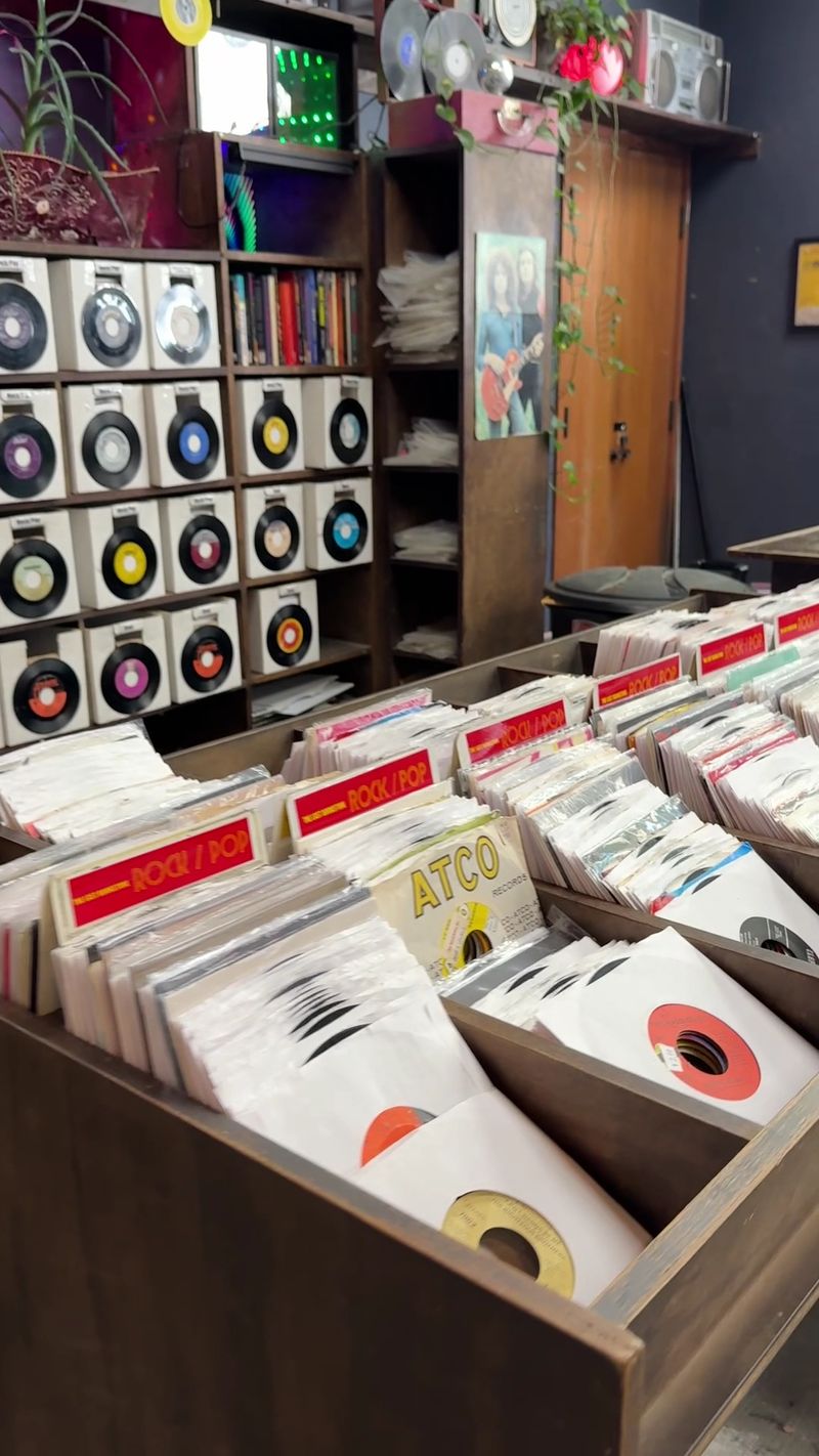 Extensive Vinyl Record Collection Alongside Books