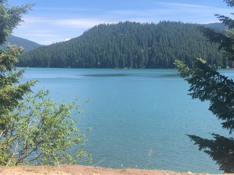 Bigfoot Lore and Indoor Fun